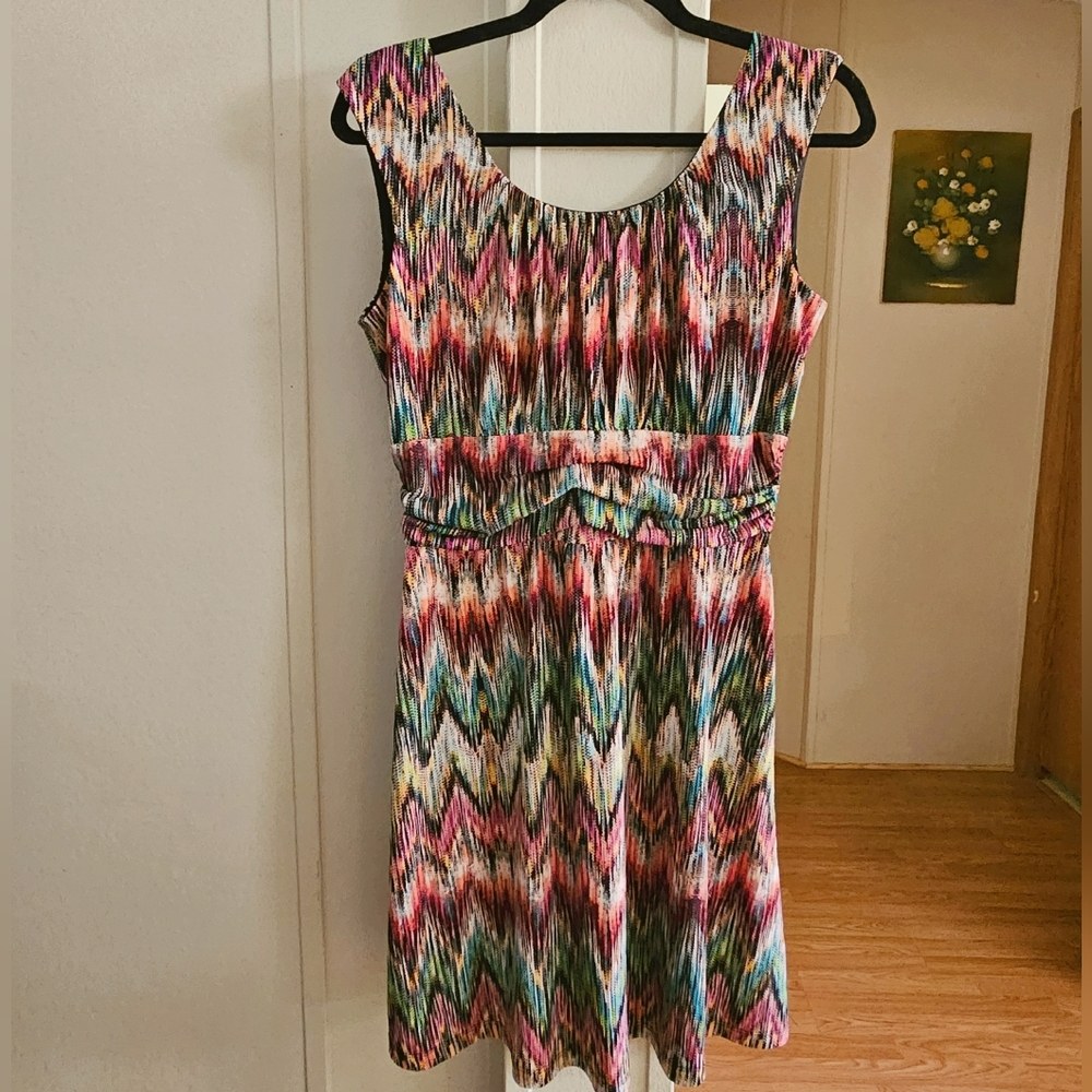 Enfocus Studio Colorful Dress